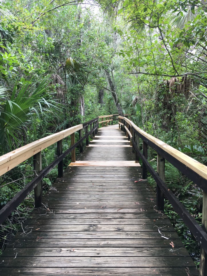 cypressboardwalk