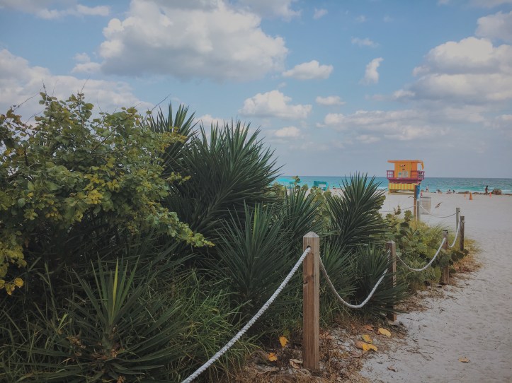 Processed with VSCO with m5 preset