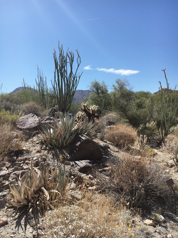 Processed with VSCO with a4 preset