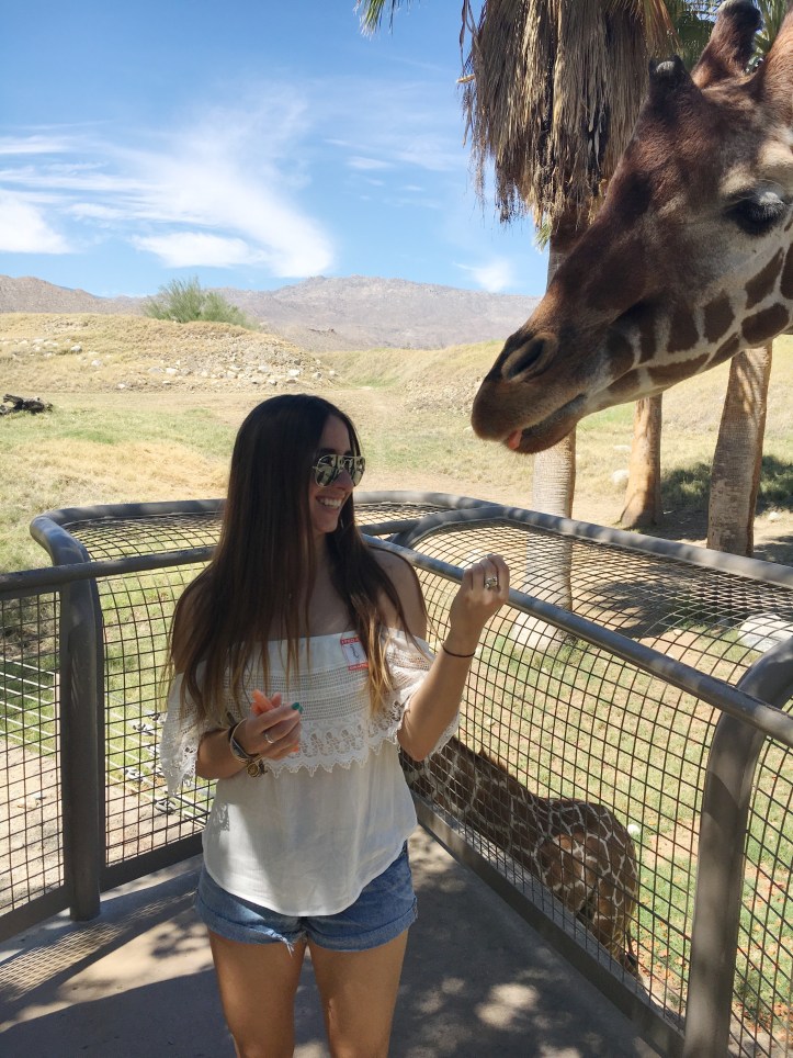 palmspringsgiraffe