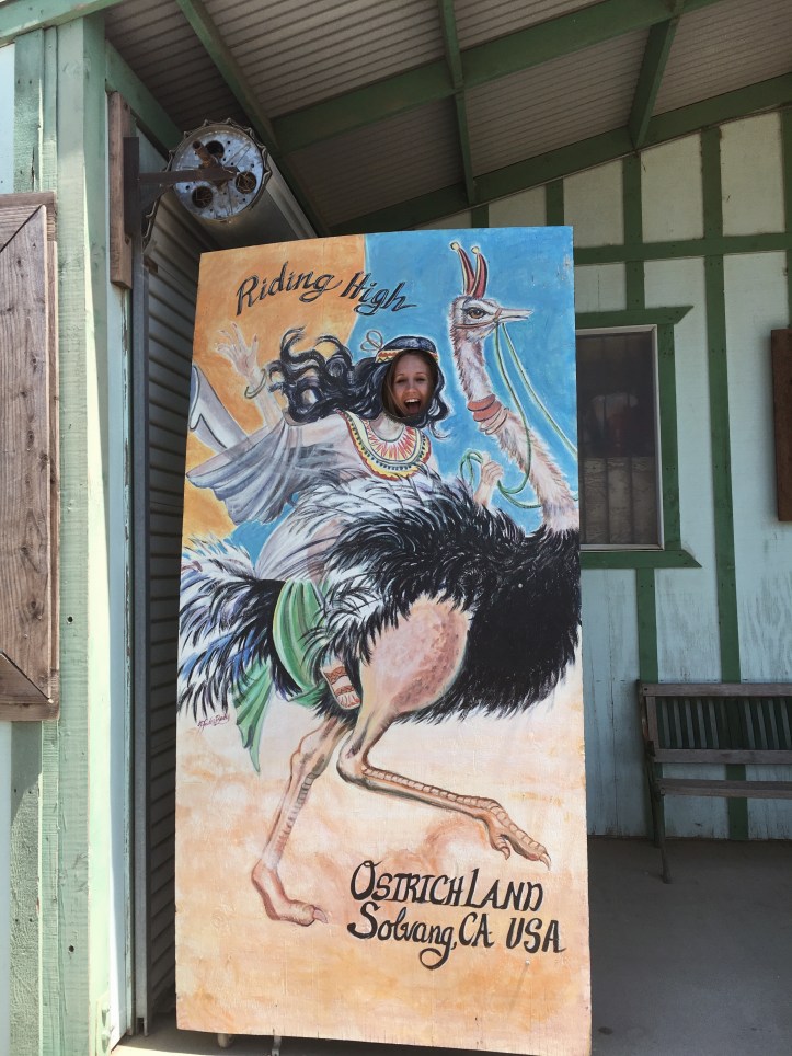 Processed with VSCO with a4 preset