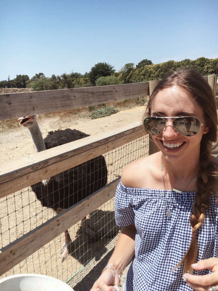 Processed with VSCO with a4 preset