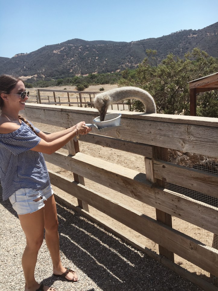 Processed with VSCO with a4 preset