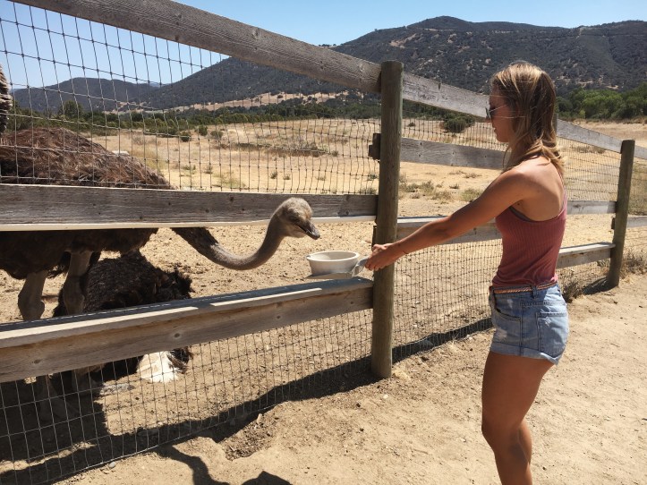 Processed with VSCO with a4 preset