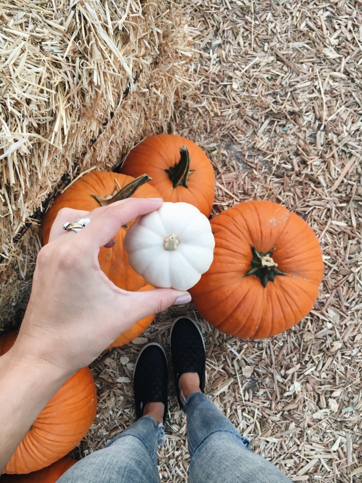 Processed with VSCO with a6 preset