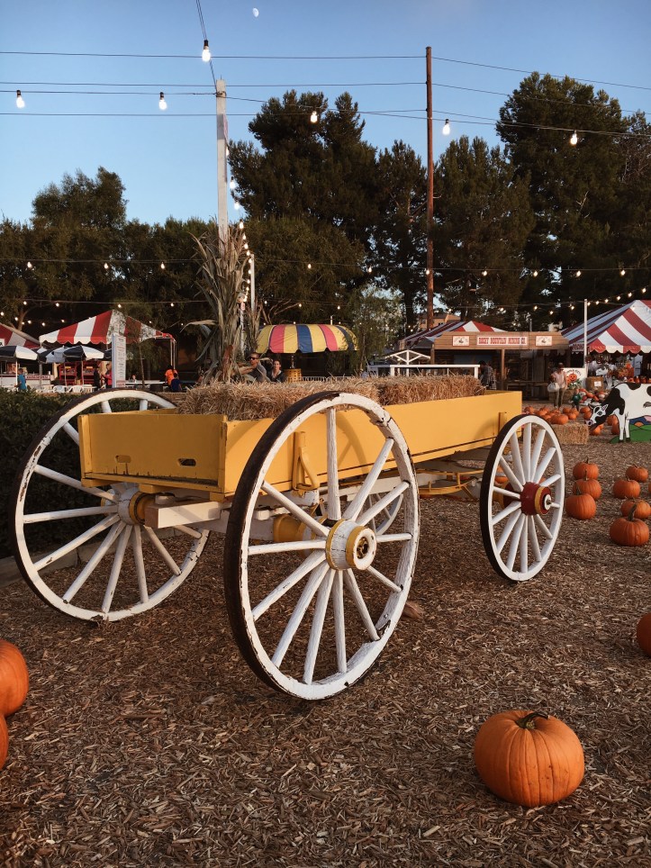 Processed with VSCO with a4 preset