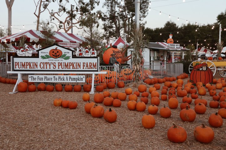 Processed with VSCO with a4 preset