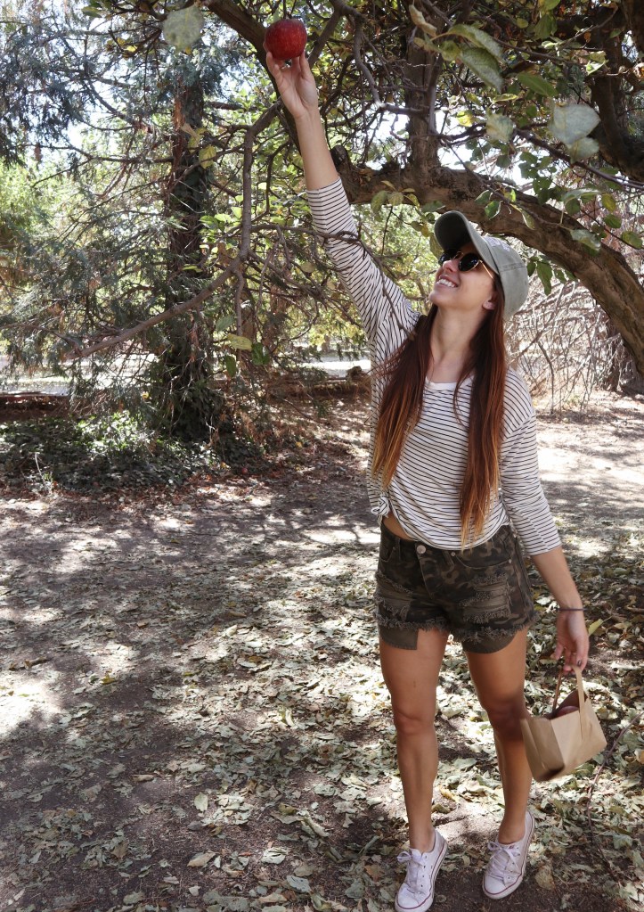 Processed with VSCO with a4 preset