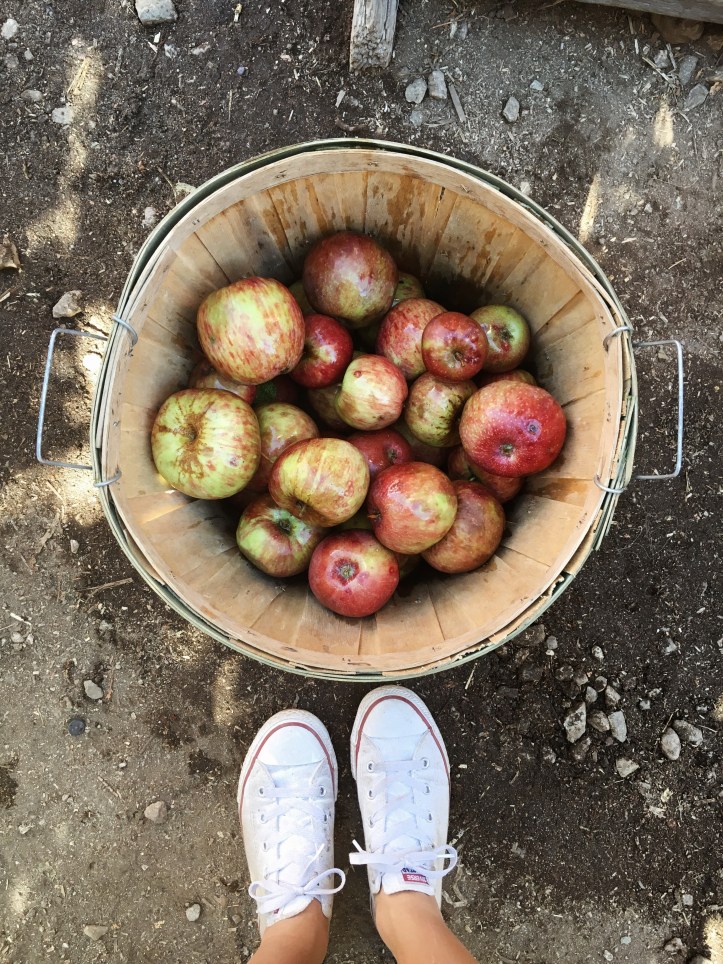 Processed with VSCO with a4 preset