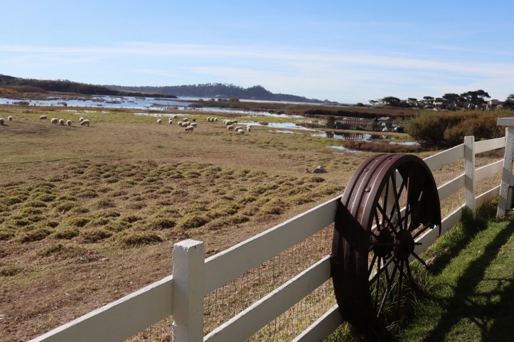 Processed with VSCO with a4 preset