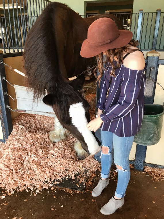 Processed with VSCO with a4 preset