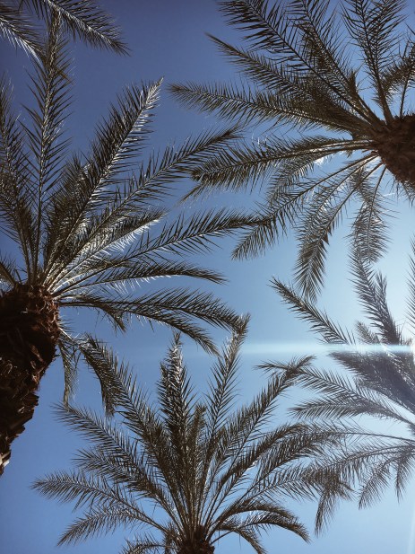 Processed with VSCO with a4 preset