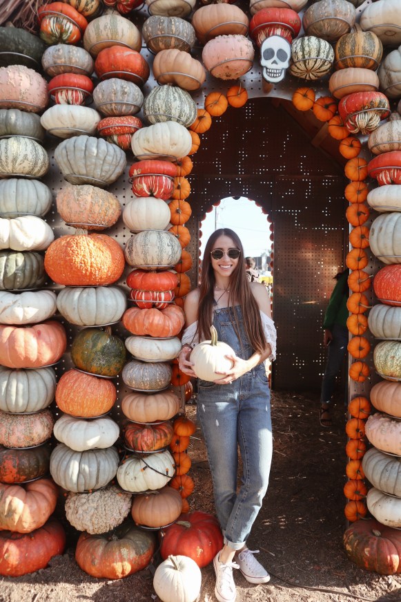 Processed with VSCO with a4 preset