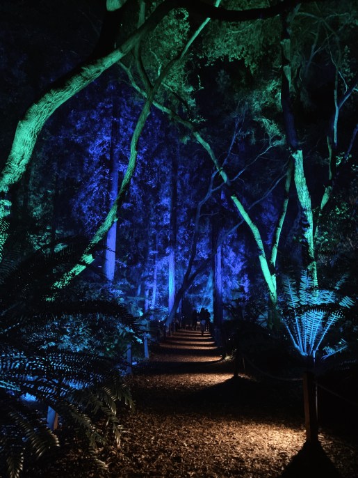 Processed with VSCO with a4 preset