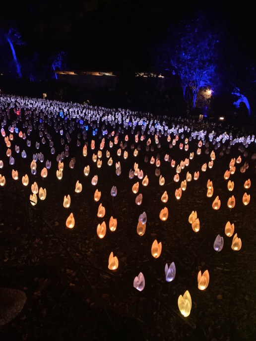 Processed with VSCO with a4 preset