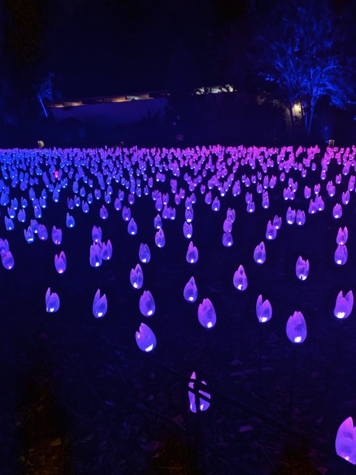 Processed with VSCO with a4 preset