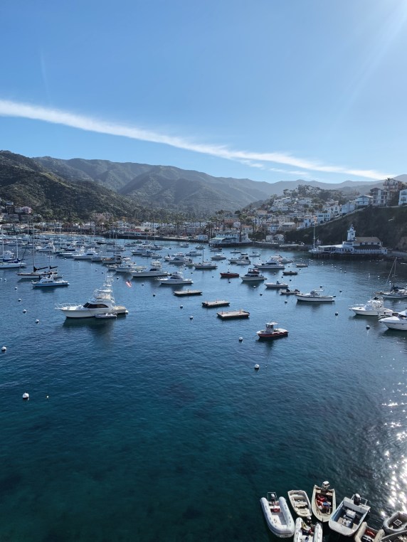 Processed with VSCO with a4 preset