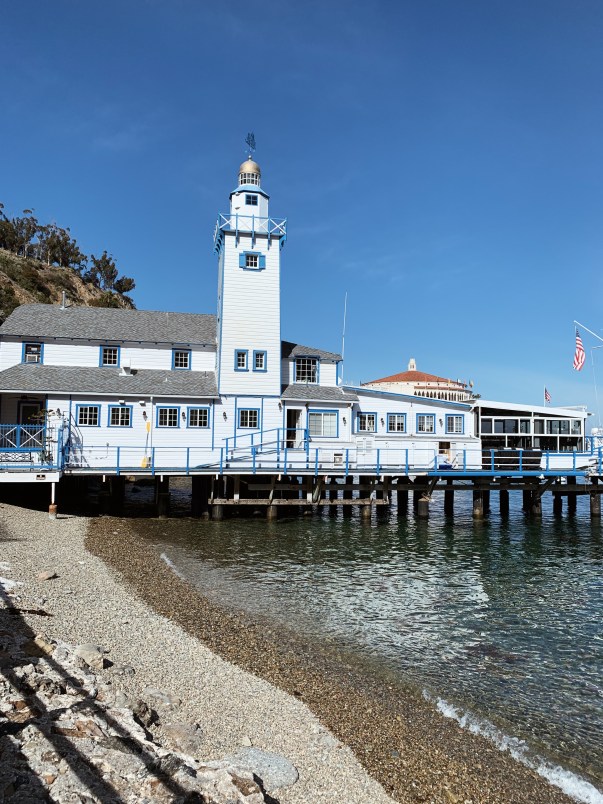 Processed with VSCO with a4 preset