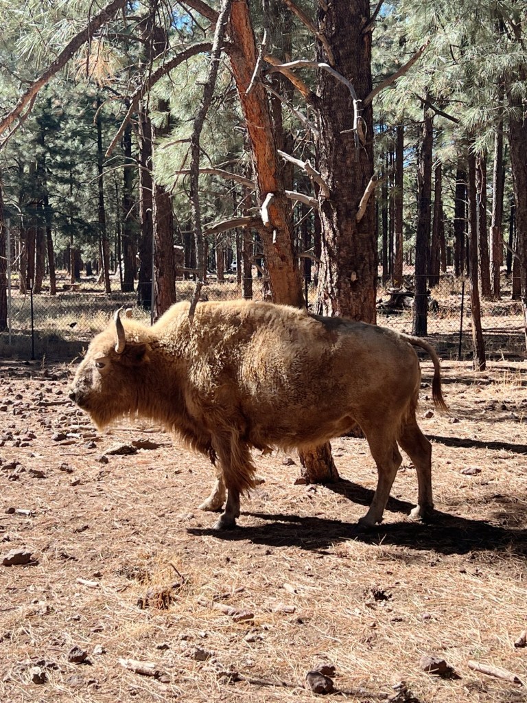 Processed with VSCO with a4&nbsp;preset