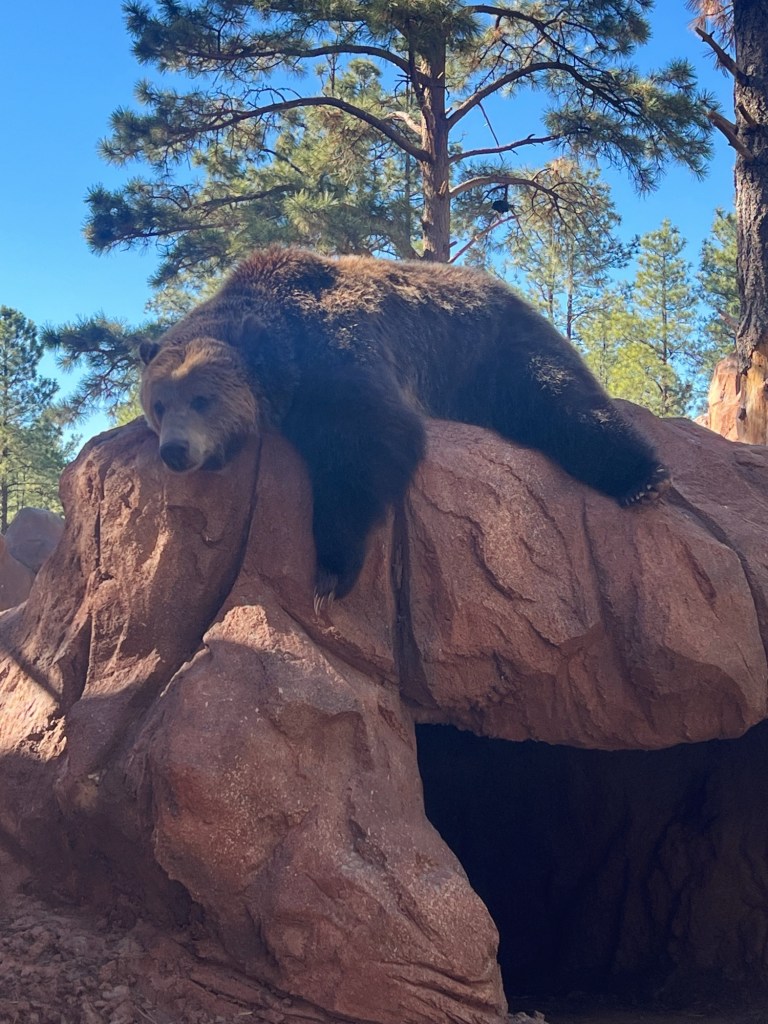 Processed with VSCO with a4&nbsp;preset