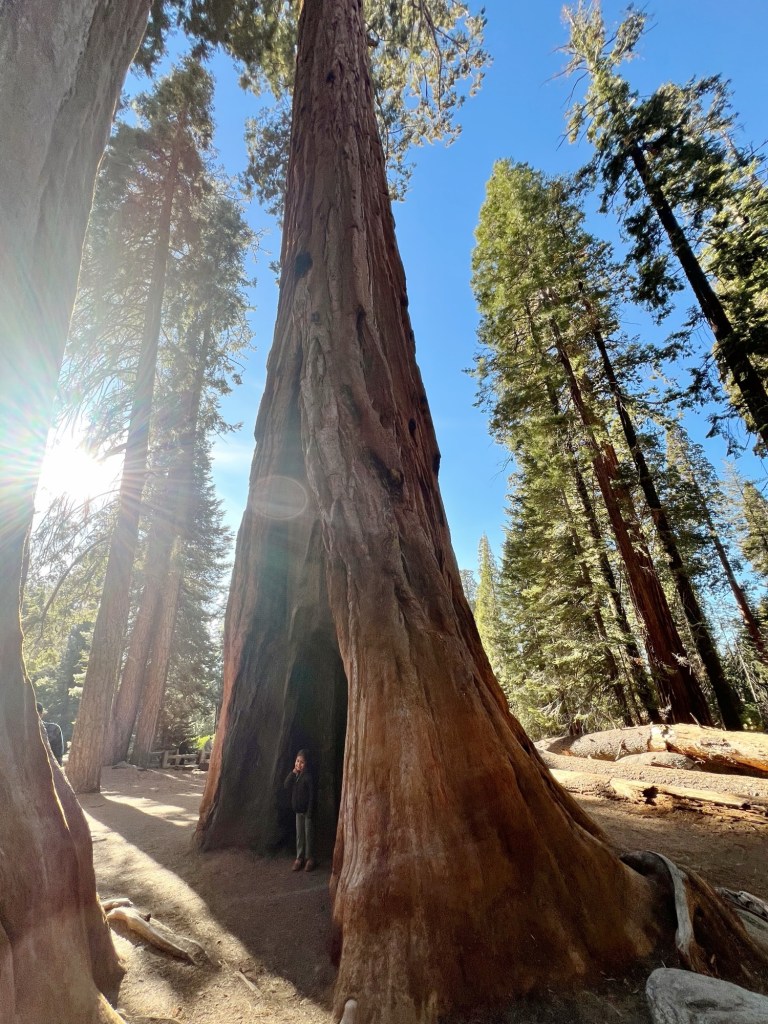 Processed with VSCO with a4 preset