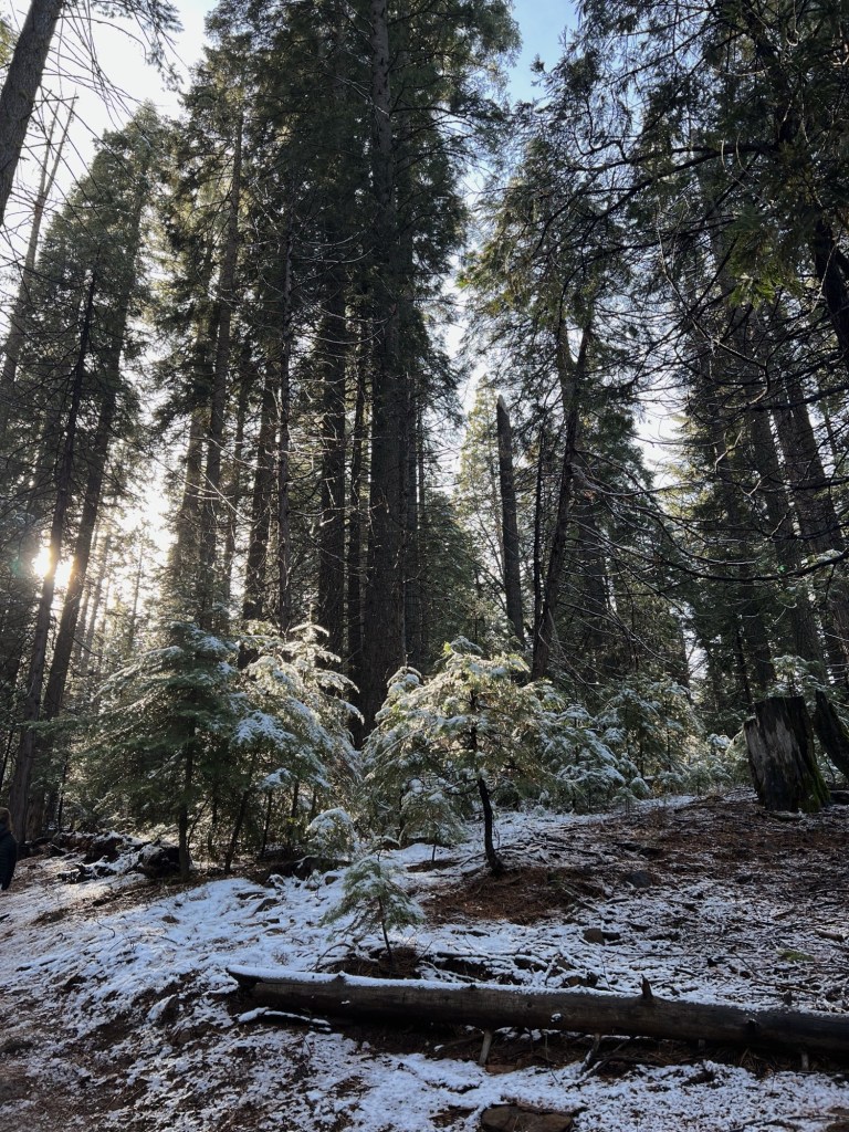 Processed with VSCO with a4 preset