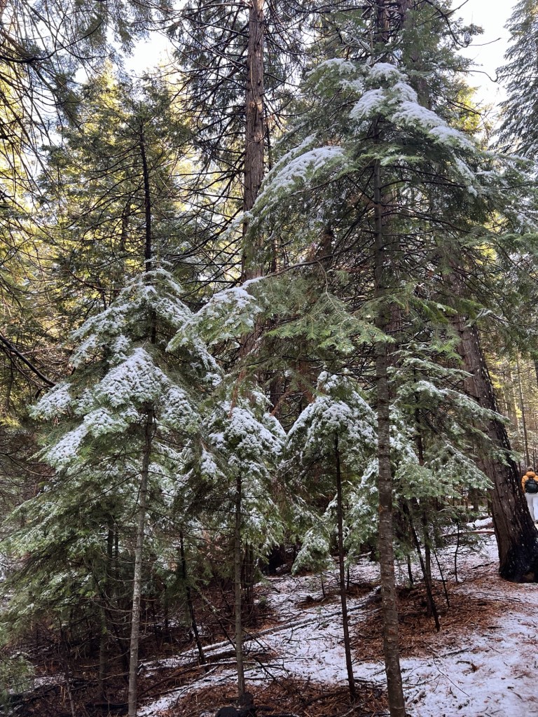 Processed with VSCO with a4 preset