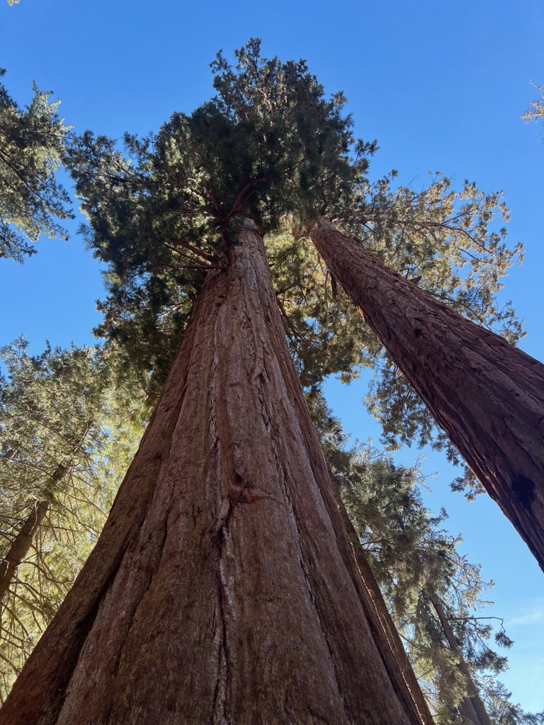 Processed with VSCO with a4 preset