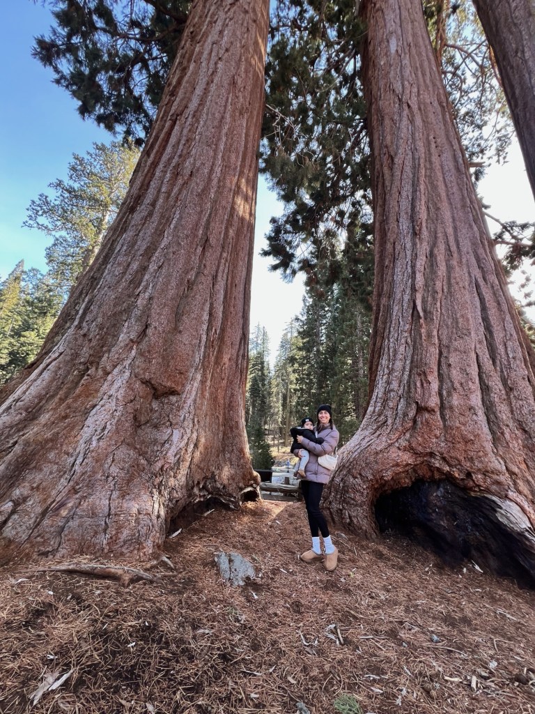 Processed with VSCO with a4 preset